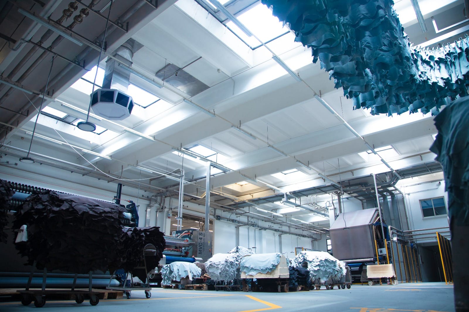 44cf5196-0195-471c-8613-393e704e72f5